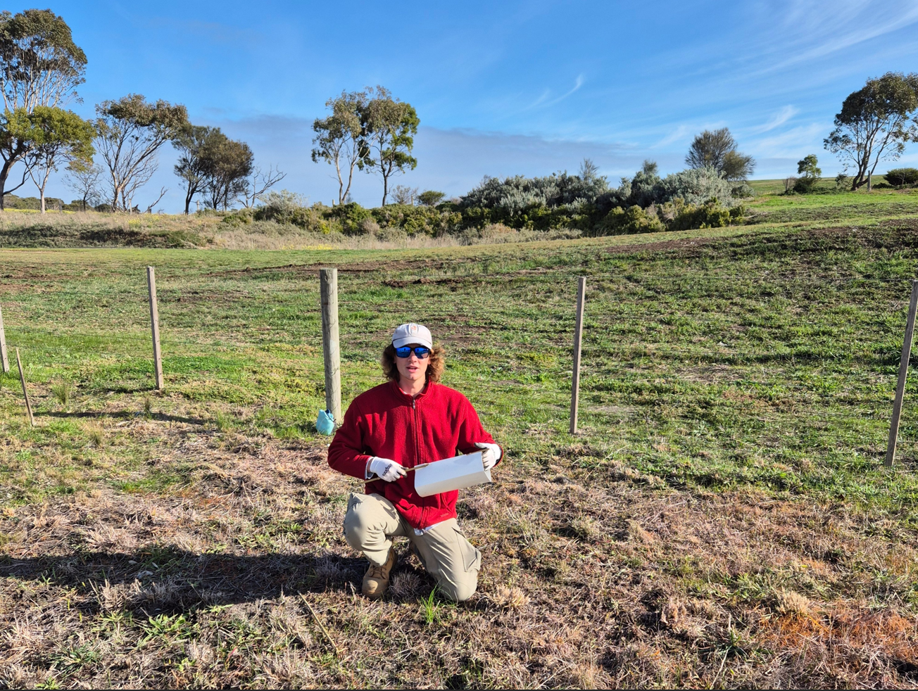 Limeburners Lagoon State Nature Reserve VIC, Tree Planting Initiative